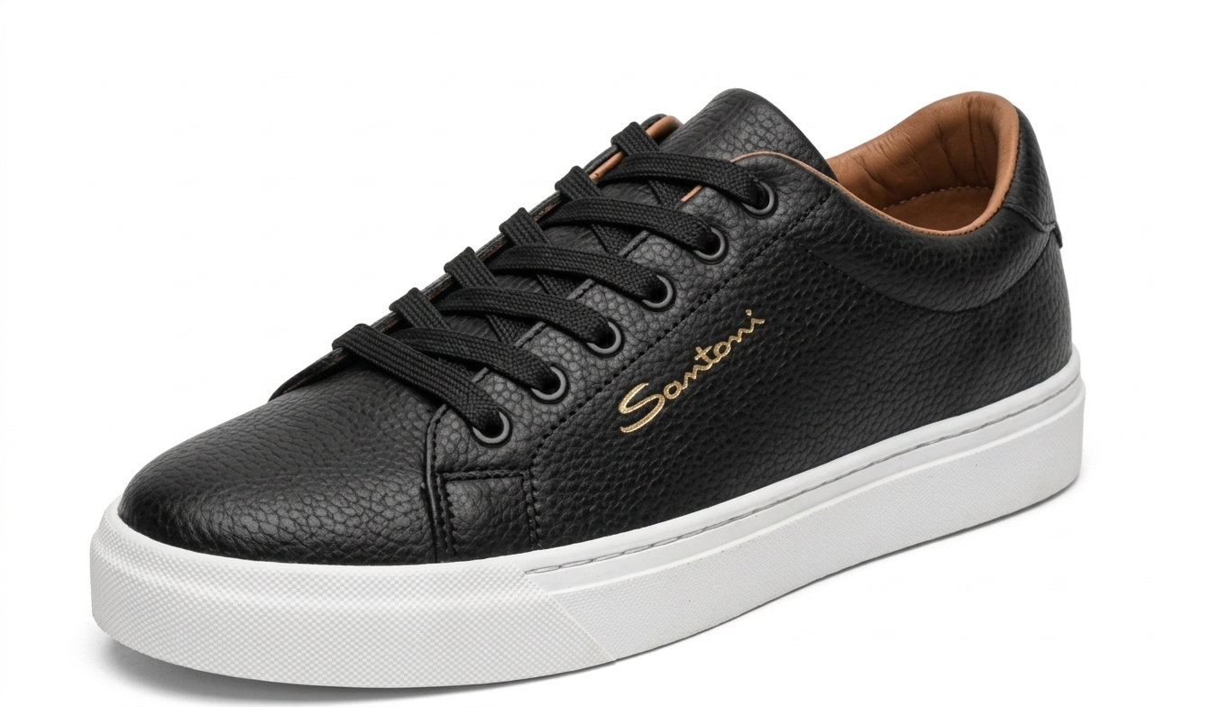 chaussure santoni homme